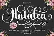 Antalea, a Script Font by IM Studio (Thumbnail 1 of 12)