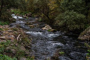 Dashbashi canyon in Georgia in autumn, a Nature Photo by Anna Bogush