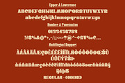 Donge | Display Font, a Serif Font by Lemonthe (Thumbnail 12 of 12)