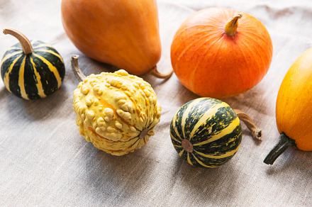 A rustic autumn still life with pumpkins, a Food & Drink Photo by Olena Rudo