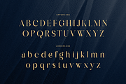 Glittery - Lavish Luxury Font, a Serif Font by Sensatype (Thumbnail 9 of 12)