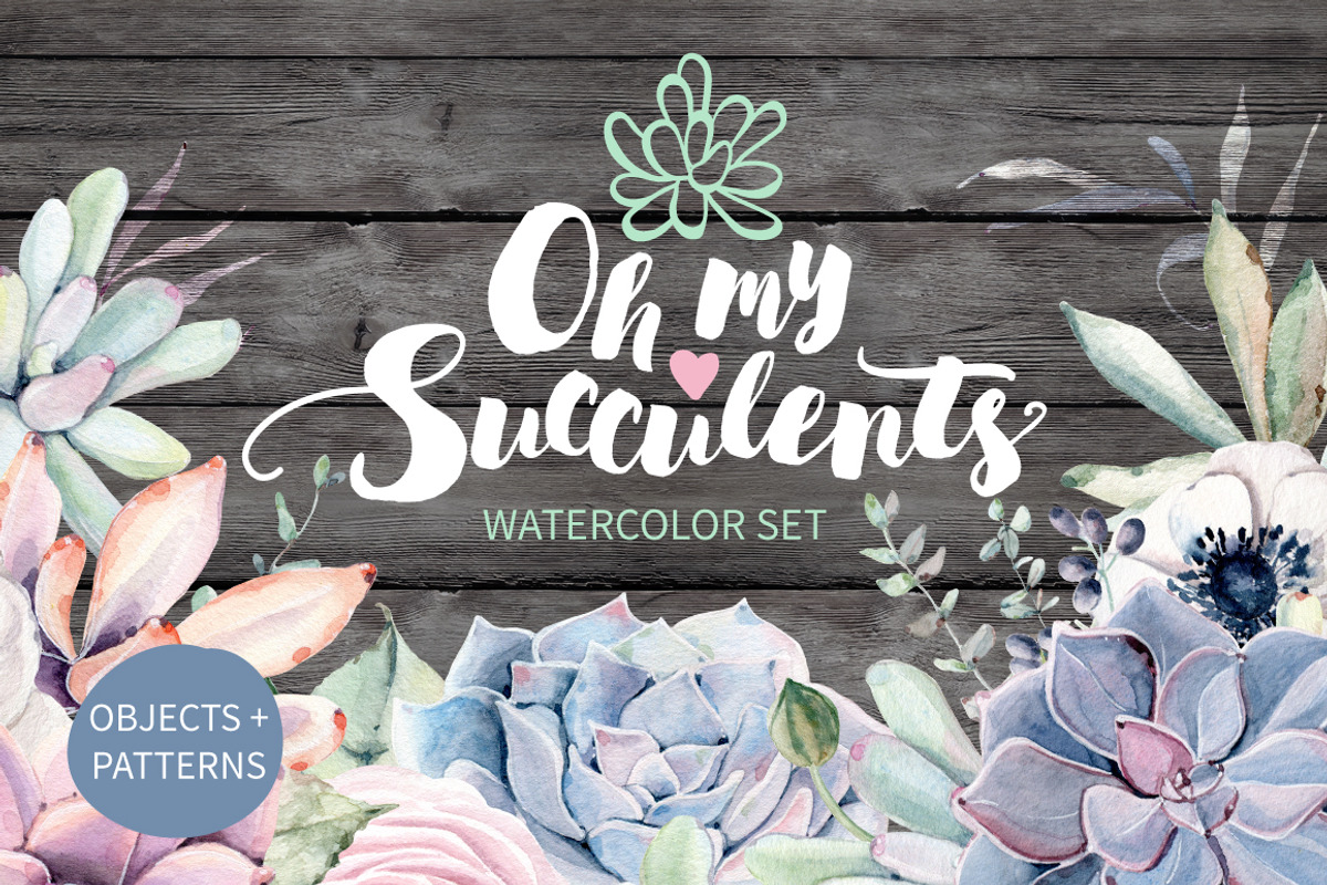 Oh my Succulents watercolor set, an Illustration by Lemaris (Photo 1 of 9)