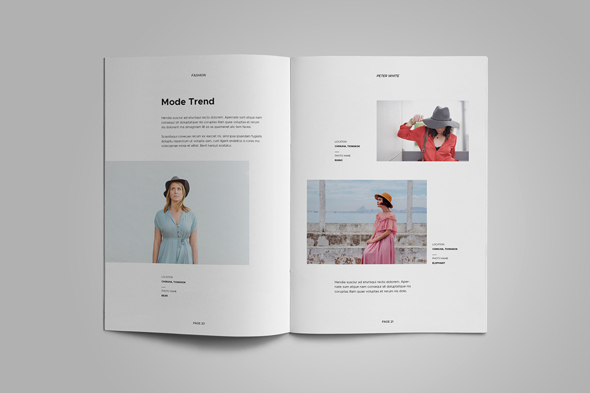 A5 Portfolio, a Brochure Template by Meenom Templates (Photo 10 of 17)