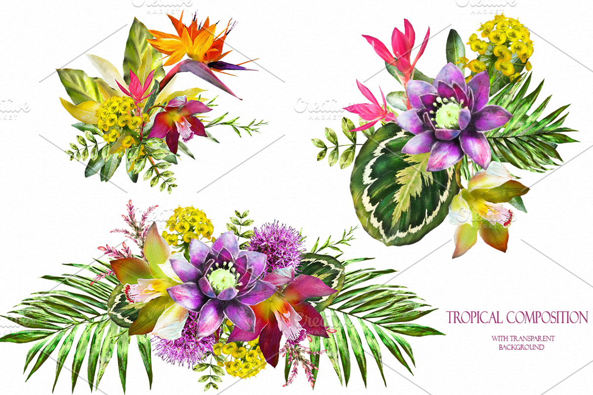 Tropical collection. Summer design., a Decorative Illustration by Lisima (Photo 10 of 19)