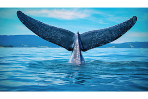 fluke whale blue ai generated, an Animal Photo by pikepicture