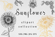 Sunflower clipart collection, an Illustration by Gennadi Digital Studio (Thumbnail 1 of 7)