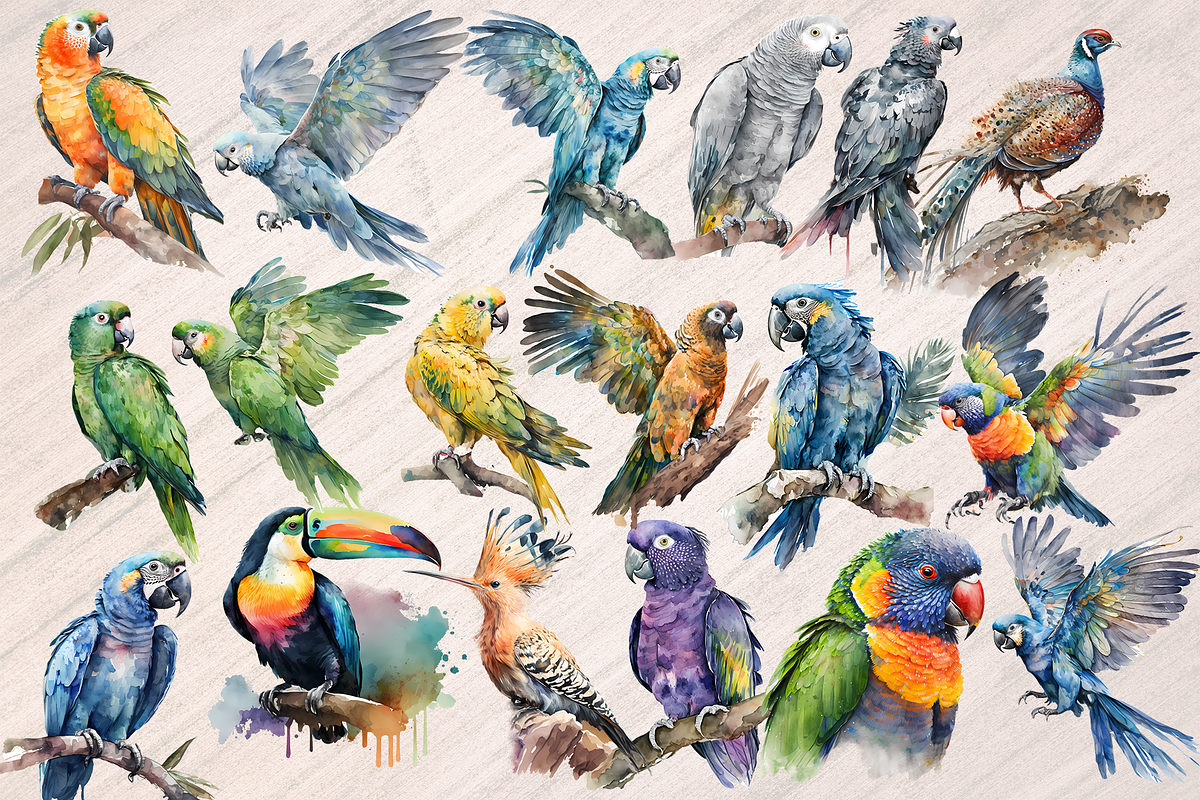 Watercolor Exotic Bids - 32 PNGs, an Animal Illustration by Leakedink (Photo 2 of 3)