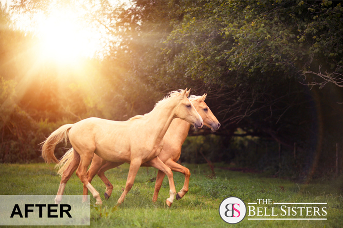 53 Sunflares Photoshop Overlays, a Layer Style Add-On by The Bell Sisters (Photo 4 of 9)