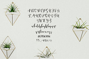 Blumenthal handwritten font, a Script Font by mikka_kika (Thumbnail 6 of 6)