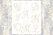 Family royal Crest Watercolor, a Decorative Illustration by WonderWonder (Thumbnail 4 of 11)