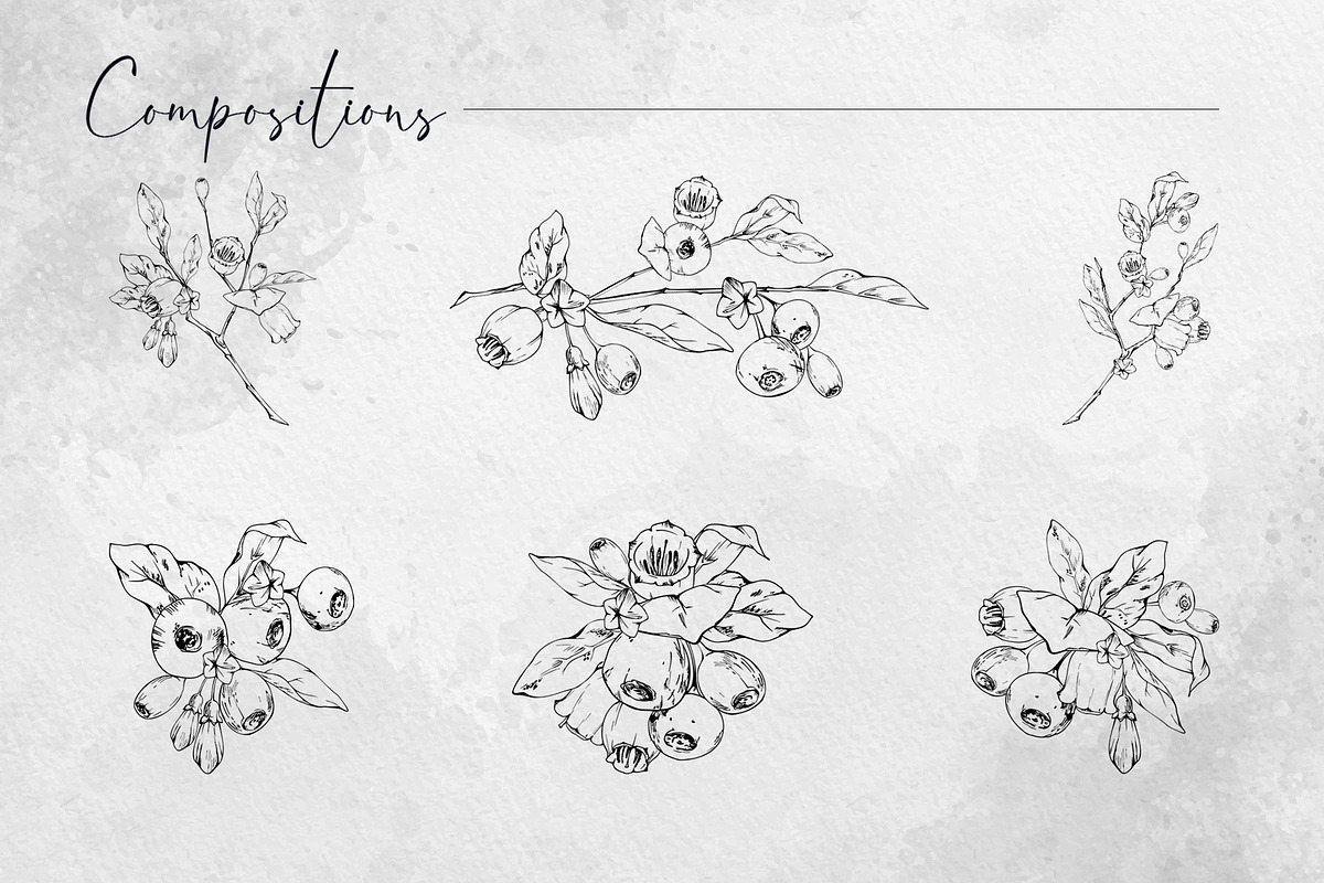 Inky huckleberry flowers, a Food Illustration by MsFlaffy (Photo 5 of 11)