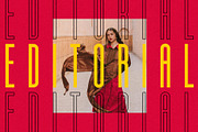 First Contact - 16 Fonts in One Pack, a Sans Serif Font by SilverStag Type Foundry (Thumbnail 16 of 30)