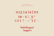 Luxoria, a Serif Font by Zafiratype (Thumbnail 12 of 13)