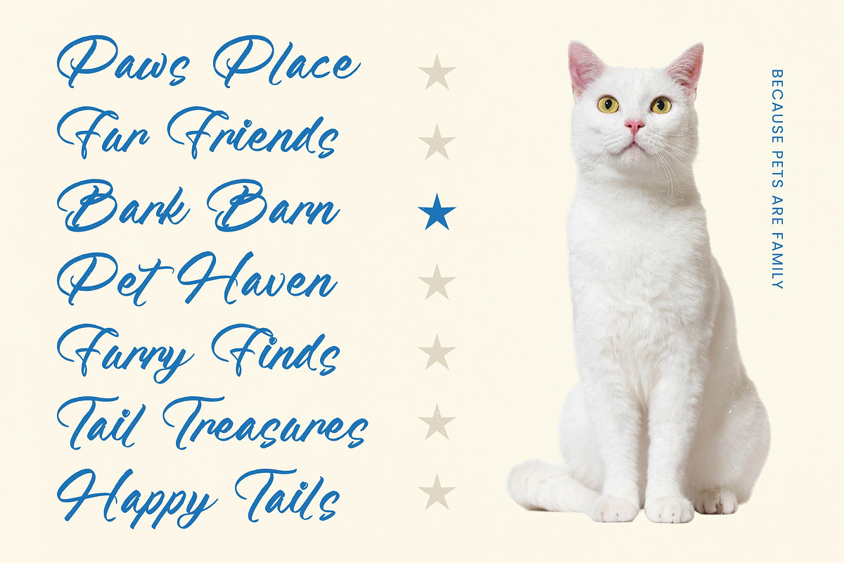 Feature Liften Modern Brush Font, a Script Font by stylishtype.co (Photo 6 of 20)