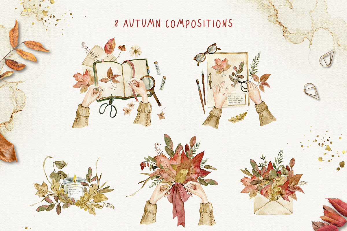 AUTUMN HERBARIUM watercolor set, an Illustration by long summer (Photo 2 of 16)