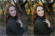 The Autumn Collection | 6 LR Presets preview 2