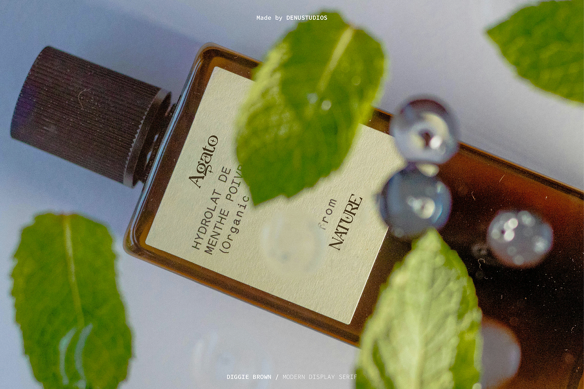 Diggie Brown | Modern Display Serif, a Serif Font by Denustudios (Photo 9 of 12)