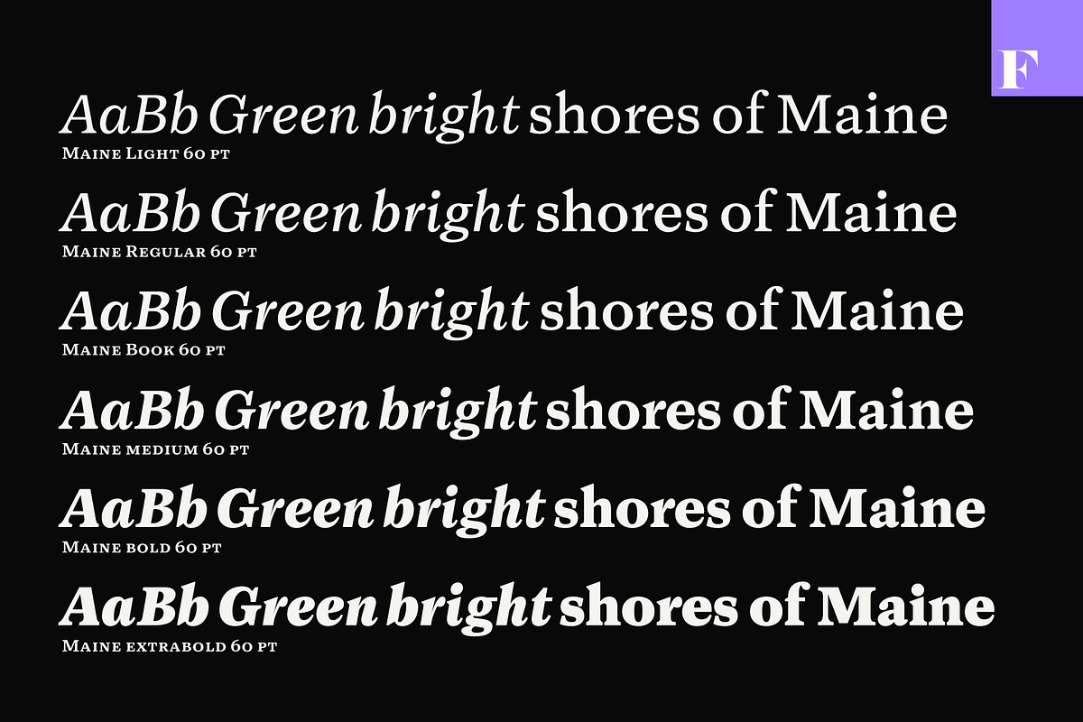 Maine -Book Antiqua Family, a Serif Font by Fenotype (Photo 9 of 11)