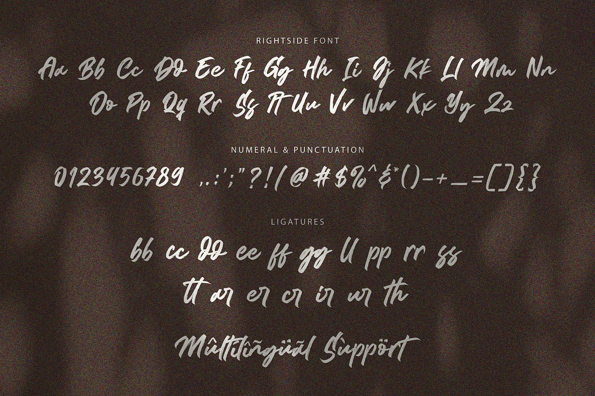 Rightside / Brush Script Font, a Script Font by Subectype Studio (Photo 10 of 10)