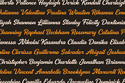 Pierce Jameson - Font Family, a Sans Serif Font by Grezline Studio (Thumbnail 5 of 13)