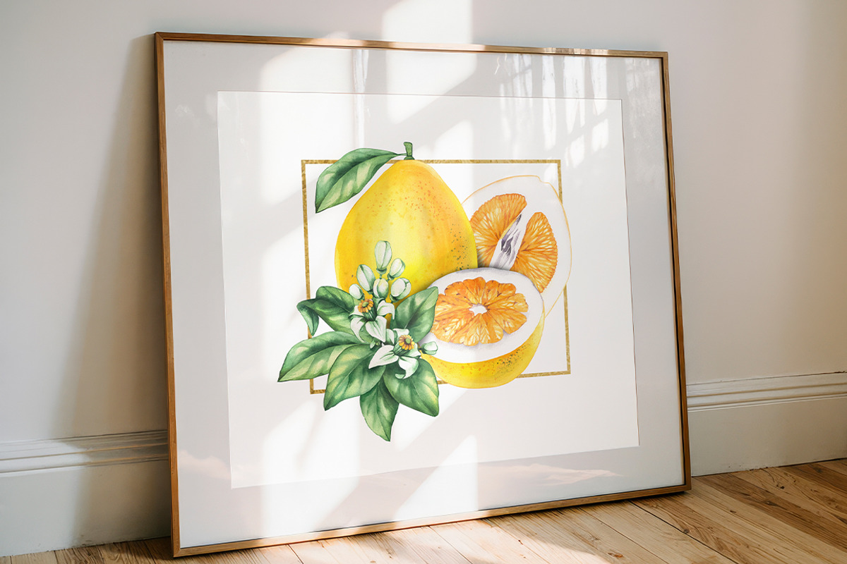 Pomelo Fruit Watercolor Collection, a Food Illustration by SashaKondr (Photo 2 of 13)