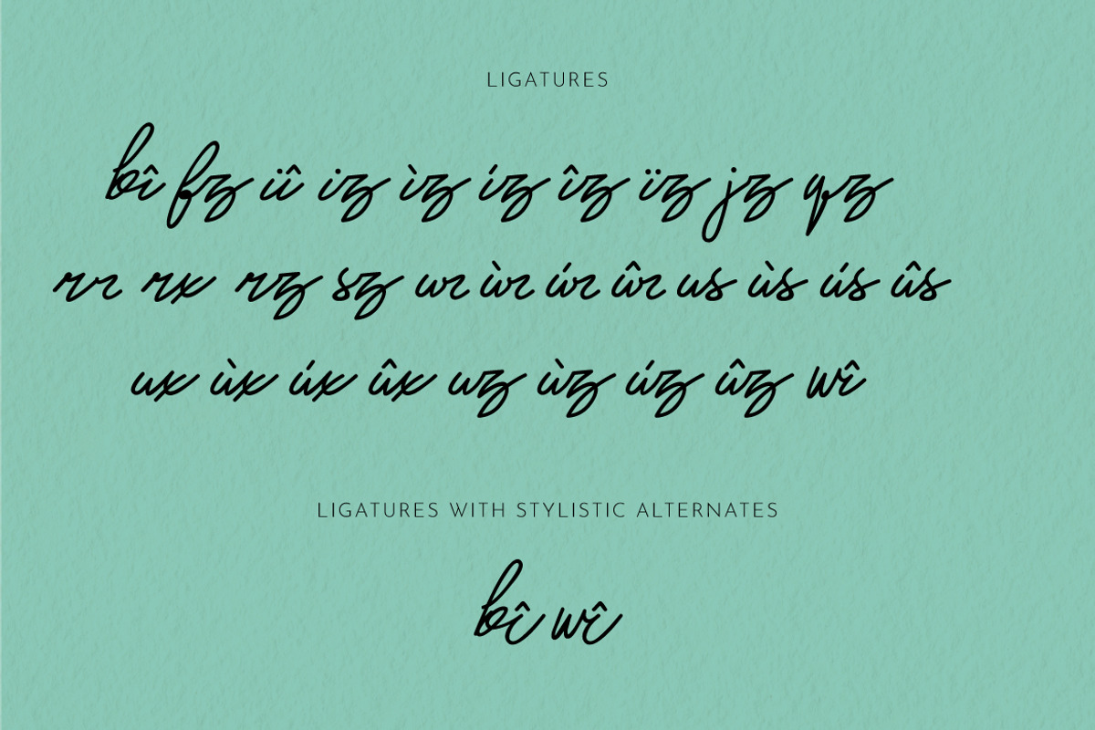 Mr. Skywhale Signature Script Font, a Handwritten Font by ashenterprise (Photo 12 of 16)