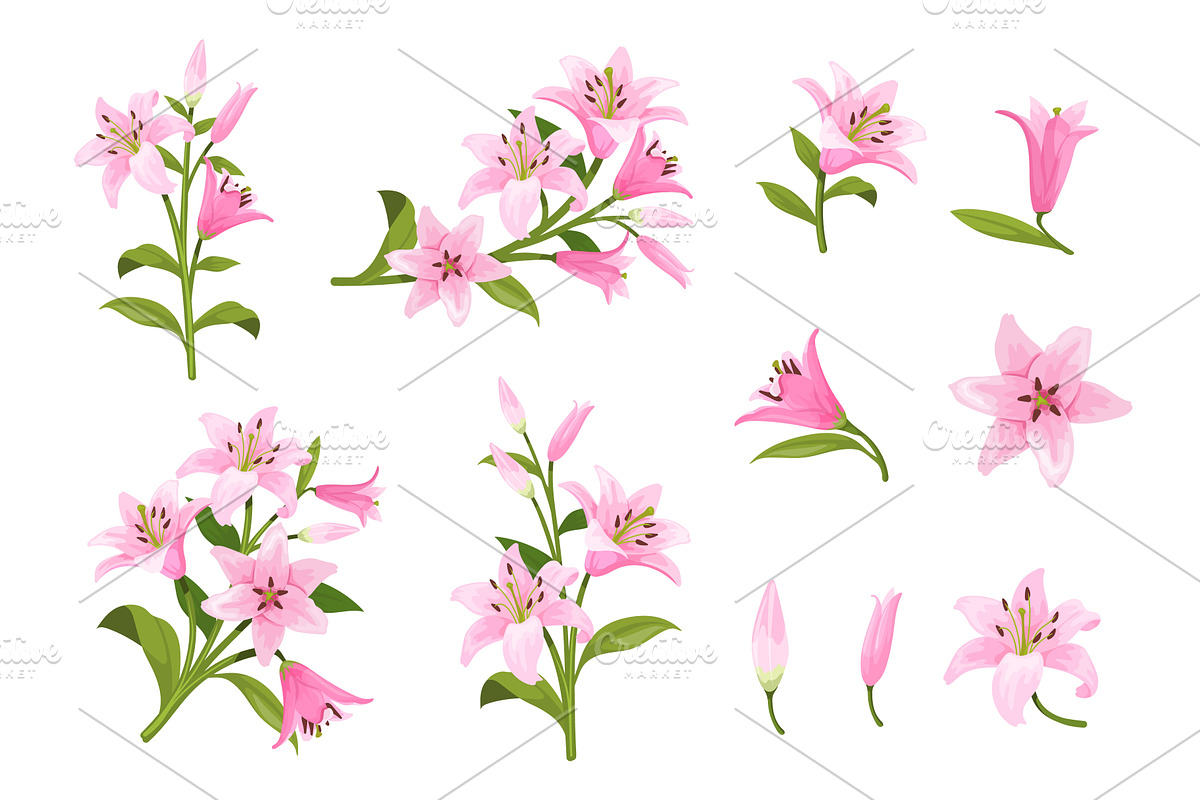 Cartoon pink lilies. Lily pink, an Object Illustration by Stock-Smart-Start