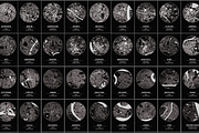 314 City Maps - Building footprints, a Texture Illustration by Cartorical (Thumbnail 6 of 6)