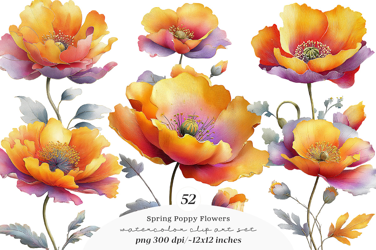 Whimsical spring poppy flowers Png, an Illustration by SinaCreation (Photo 1 of 11)
