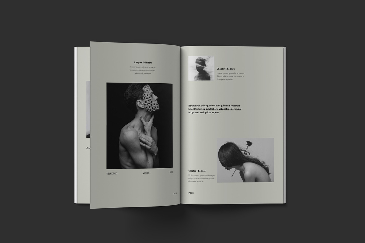 Book Title Layout Design Template, a Brochure Template by NorthPeak (Photo 10 of 16)