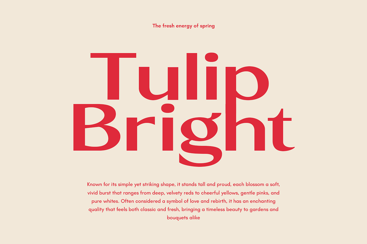 North Roland - Display Sans Serif, a Sans Serif Font by Viswell (Photo 6 of 11)
