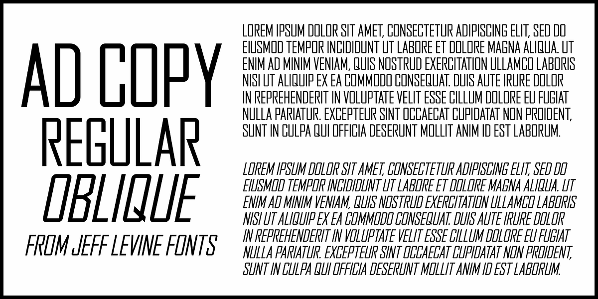 Ad Copy JNL, a Sans Serif Font by Jeff Levine Fonts (Photo 1 of 5)