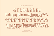 Aslin Alodian | Modern Display Serif, a Serif Font by Denustudios (Thumbnail 15 of 15)