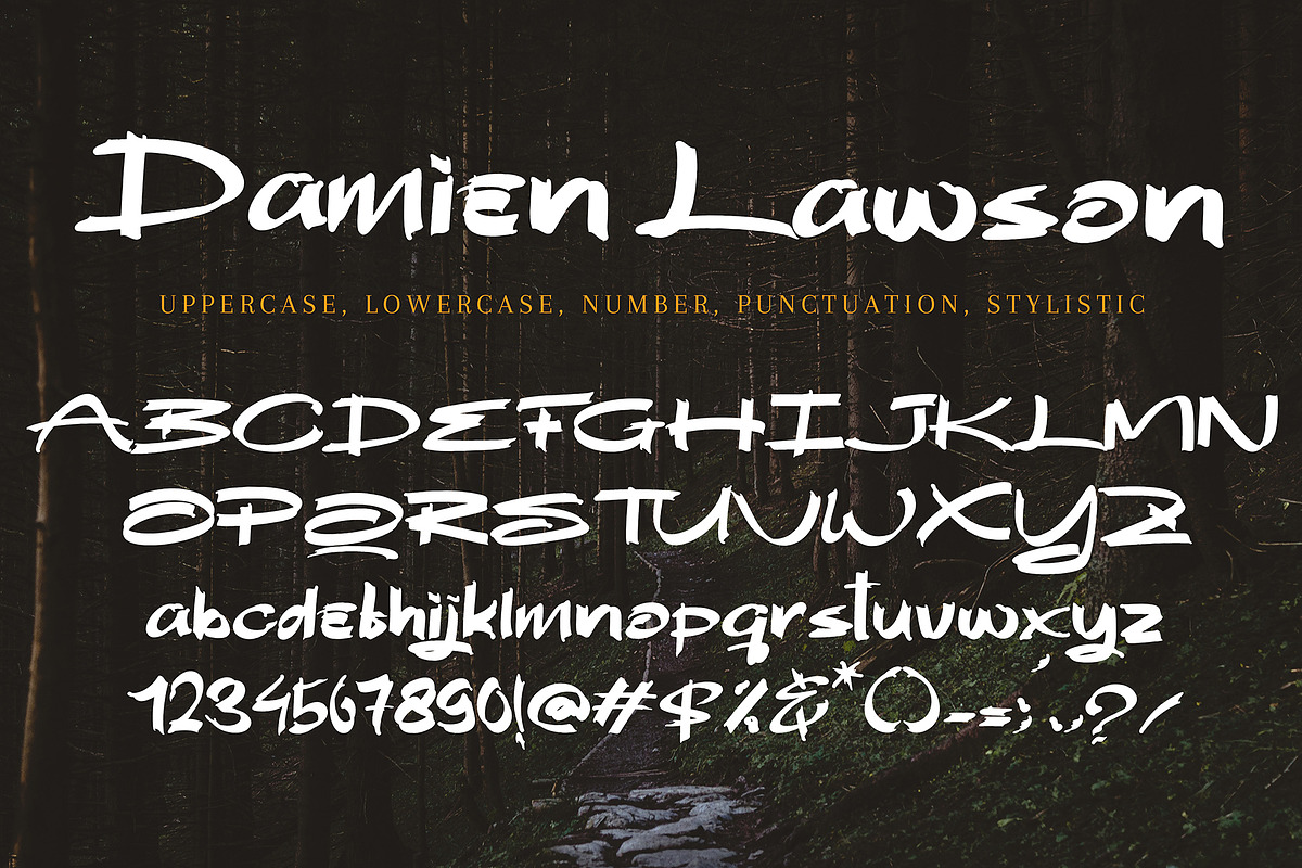 Damien Lawson, a Handwritten Font by HaKi Studio (Photo 5 of 5)