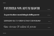 Amorvis, a Serif Font by Naksatra (Thumbnail 6 of 13)