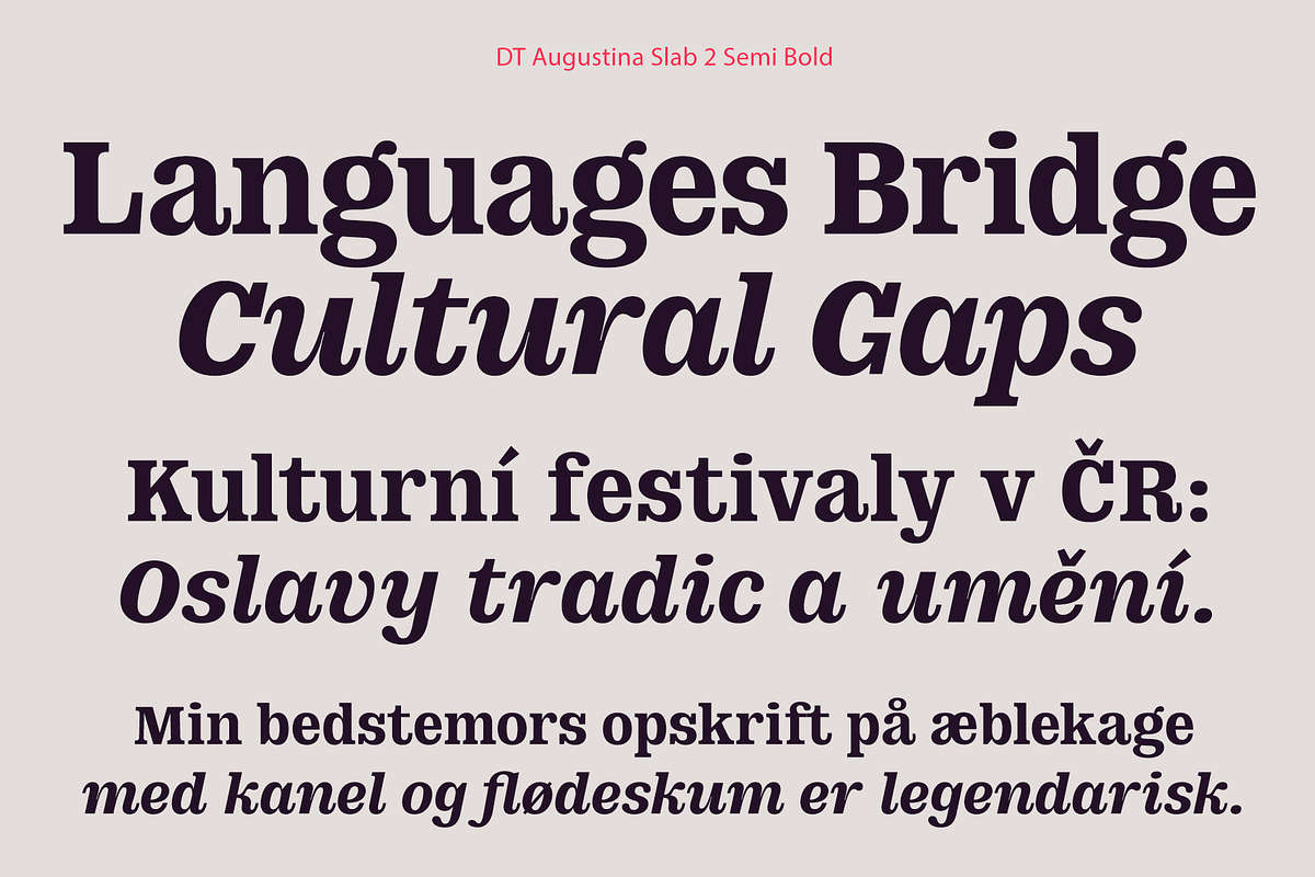 DT Augustina Slab 2 Subfamily, a Slab Serif Font by Deveze Type Foundry (Photo 11 of 30)