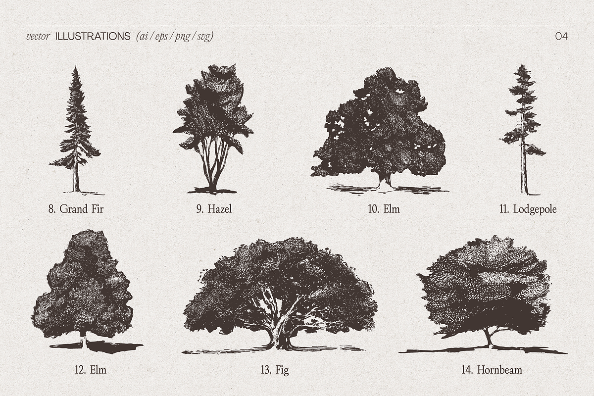 High Detail Tree Sketches Collection, an Object Graphic by TheMountBirdStudio (Photo 5 of 7)