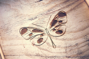 Butterfly. Logo Template