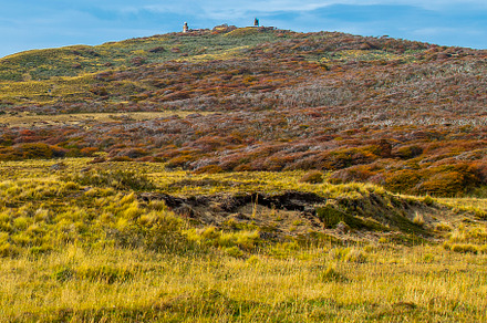 Meadow landscape, tierra del fuego, ushuaia, argentina, a Nature Photo by DanFLCreativo