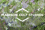 50 Rusty Metal Textures - Vol 1, a Texture Graphic by Madison Colt Studios (Thumbnail 27 of 51)