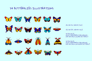 Butterflies Vector Illustrations