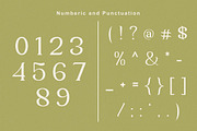 Yunan - Modern and Classy Font, a Serif Font by Flawless And Co (Thumbnail 8 of 14)