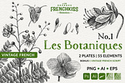 Les Botaniques No 1, a Decorative Illustration by French Kiss Collections (Thumbnail 1 of 6)
