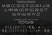 Splendid, a Sans Serif Font by FreshTypeINK (Thumbnail 8 of 8)