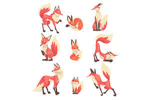 Collection of Cute Red Foxes, an Animal Illustration by TopVectors