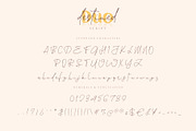 Destined Duo Brush Sans & Signature, a Script Font by Ayca Atalay (Thumbnail 10 of 13)