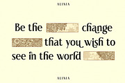 Elnaks Modern Serif Display, a Serif Font by Luna Shop (Thumbnail 8 of 9)