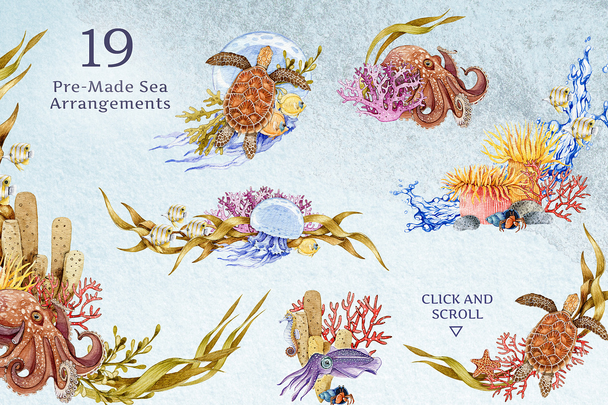 Sea Life Watercolor Clipart Set, an Animal Illustration by AnitaPol (Photo 6 of 16)