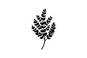 Eucalyptus Foliage Silhouette Set, an Object Graphic by Designs_River (Thumbnail 2 of 3)
