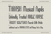 Dark Mother, a Blackletter Font by Like Magic Studio (Thumbnail 6 of 9)